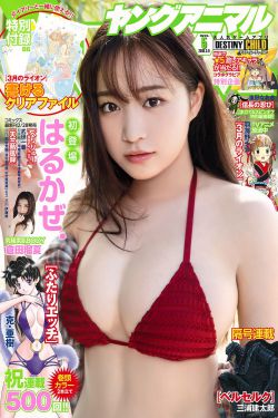 鬼灵报告